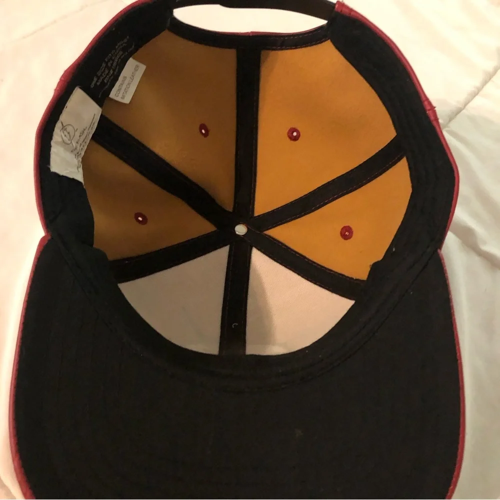 DC comics the flash snap back hat